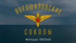 «Ворошиловские соколы»: члены РО РВИО СК презентовали третий фильм о ставропольских летчиках